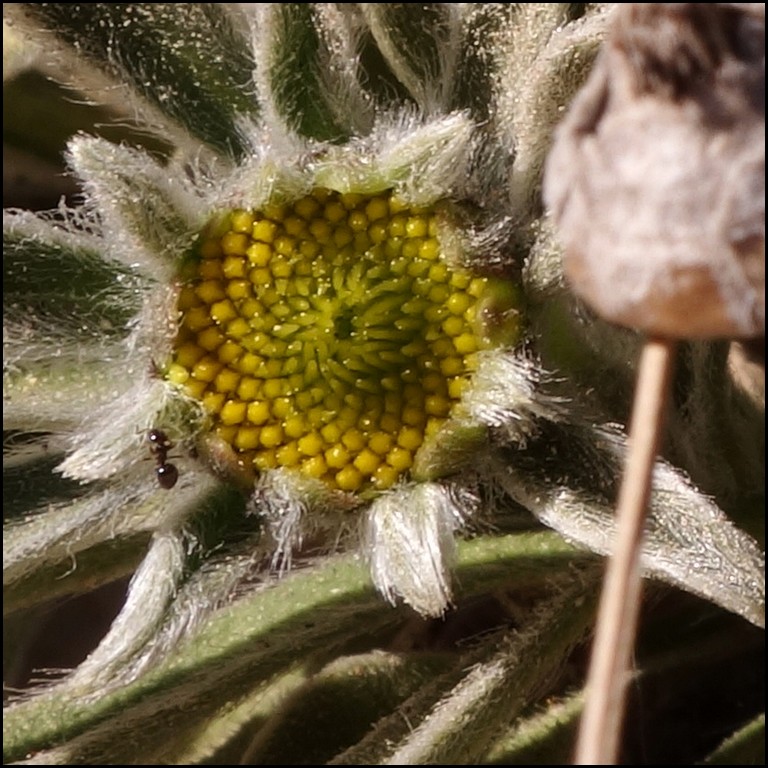 DSC01768r