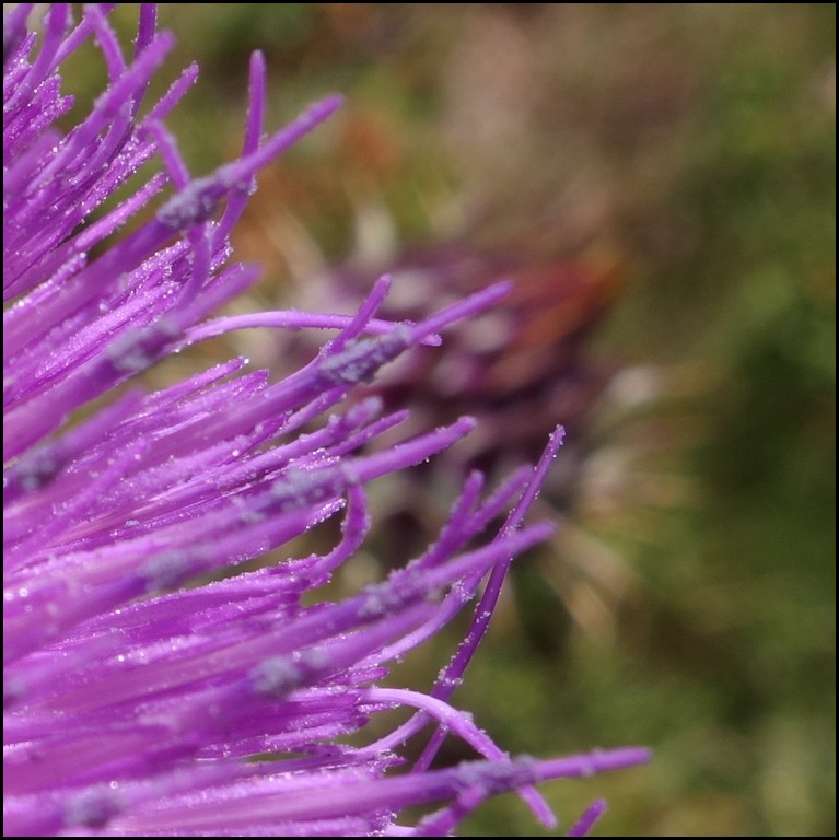 DSC06458r