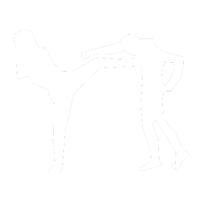 2 - Modern Combat Martial Arts