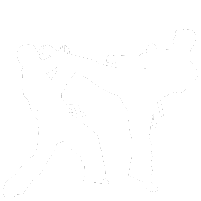 INVITATION - Modern Combat Martial Arts