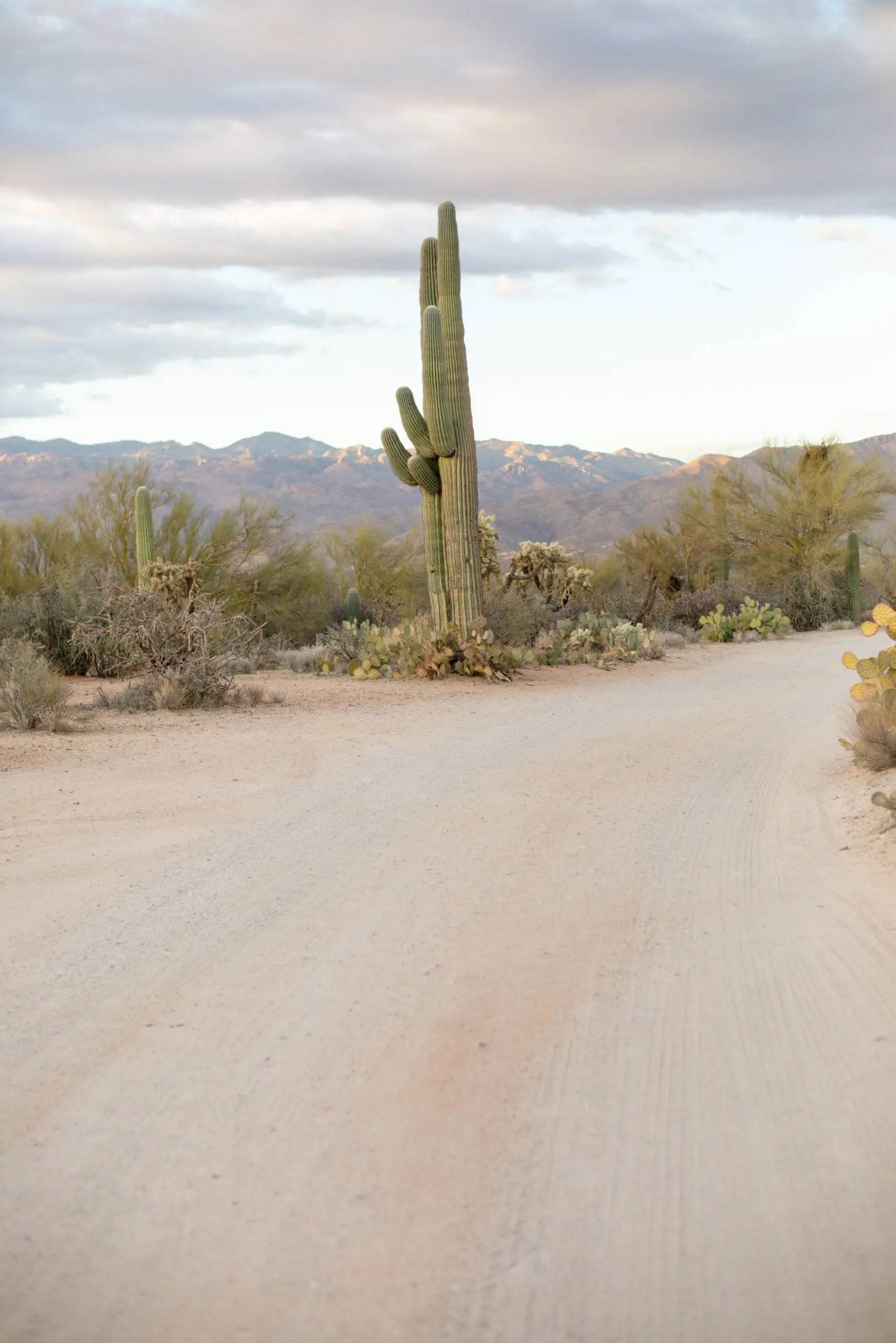 Az511 Traffic The Arizona Road Trip Guide They Dont Want You To See - hma2azx