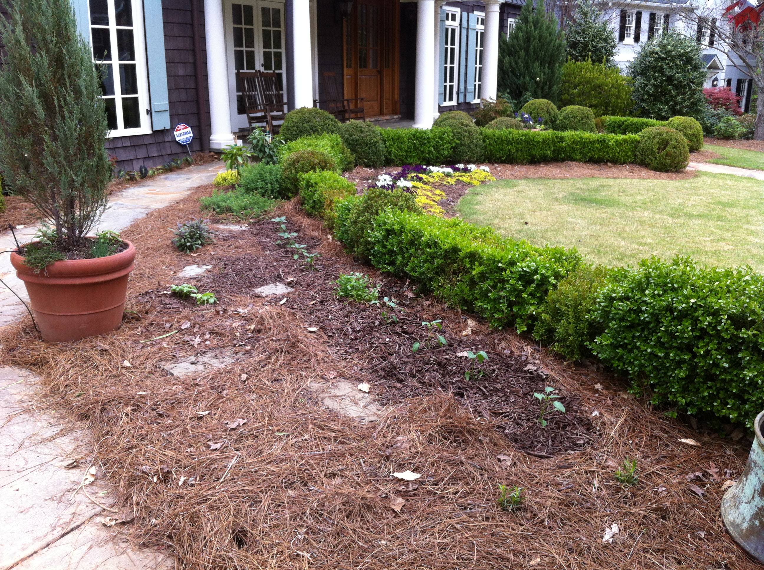 Urban Garden – Spring/Summer