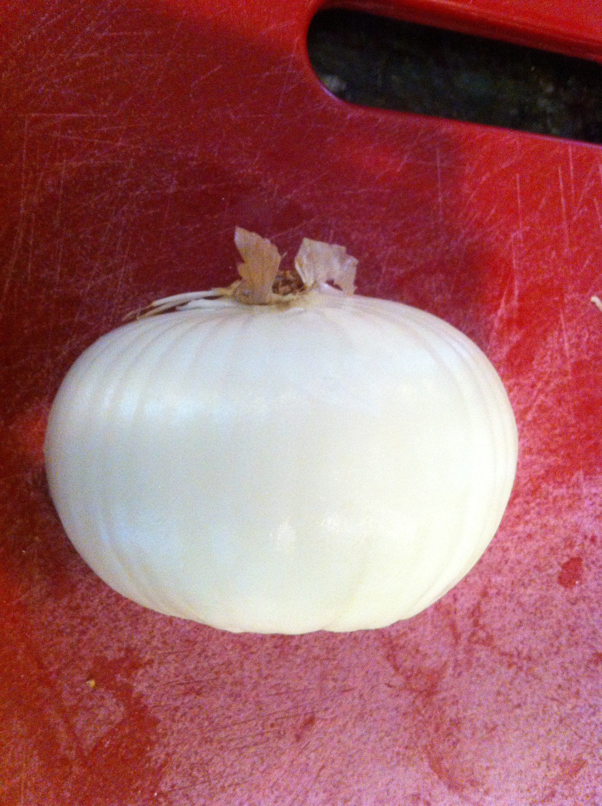 dice an onion