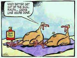 Happy Thanksgiving!