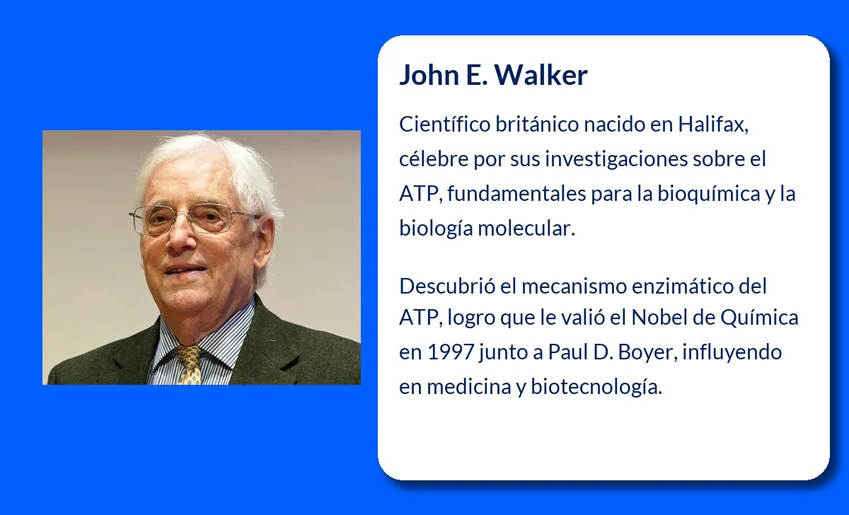 Walker