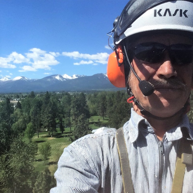 David McNeill © 2017 McNeill's Tree Service