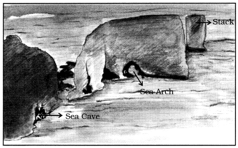 MCQ Questions for Class 7 Geography Chapter 3