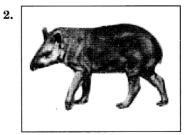MCQ Questions for Class 7 Geography Chapter 8