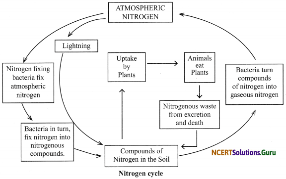 NCERT Solutions for Class 8 Science Chapter 2 Microorganisms Friend and Foe 7