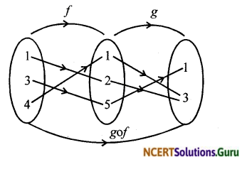 NCERT Solutions for Class 12 Maths Chapter 1 Relations and Functions Ex 1.3 1