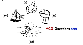 A Letter to God Class 10 MCQ Questions with Answers English Chapter 1 3