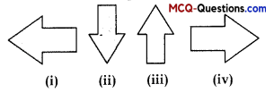 Footprints without Feet Class 10 MCQ Questions with Answers English Chapter 5 2