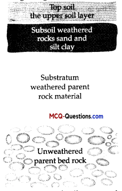 MCQ Questions for Class 10 Geography Chapter 1 Resources and Development 2