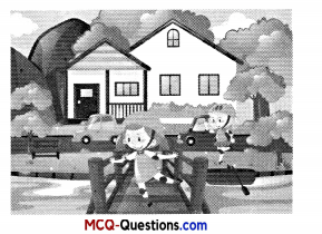 MCQ Questions for Class 10 Maths Chapter 3 Pair of Linear Equations in Two Variables 7