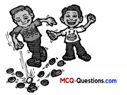 MCQ Questions for Class 10 Maths Chapter 3 Pair of Linear Equations in Two Variables 8