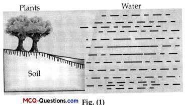 MCQ Questions for Class 10 Science Chapter 16 Management of Natural Resources 2