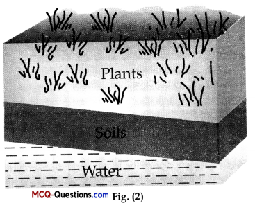 MCQ Questions for Class 10 Science Chapter 16 Management of Natural Resources 3