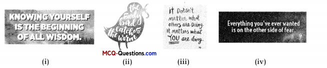 Two Stories about Flying Class 10 MCQ Questions with Answers English Chapter 3 2