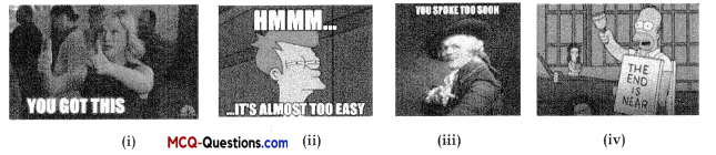 Two Stories about Flying Class 10 MCQ Questions with Answers English Chapter 3 3