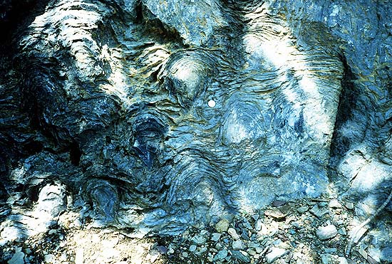Stromatolites, among the oldest fossil evidence of life