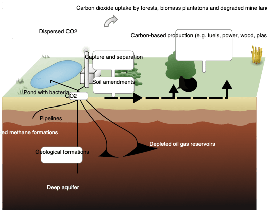 Diagram of terrestrial and geological carbon sequestration pathways