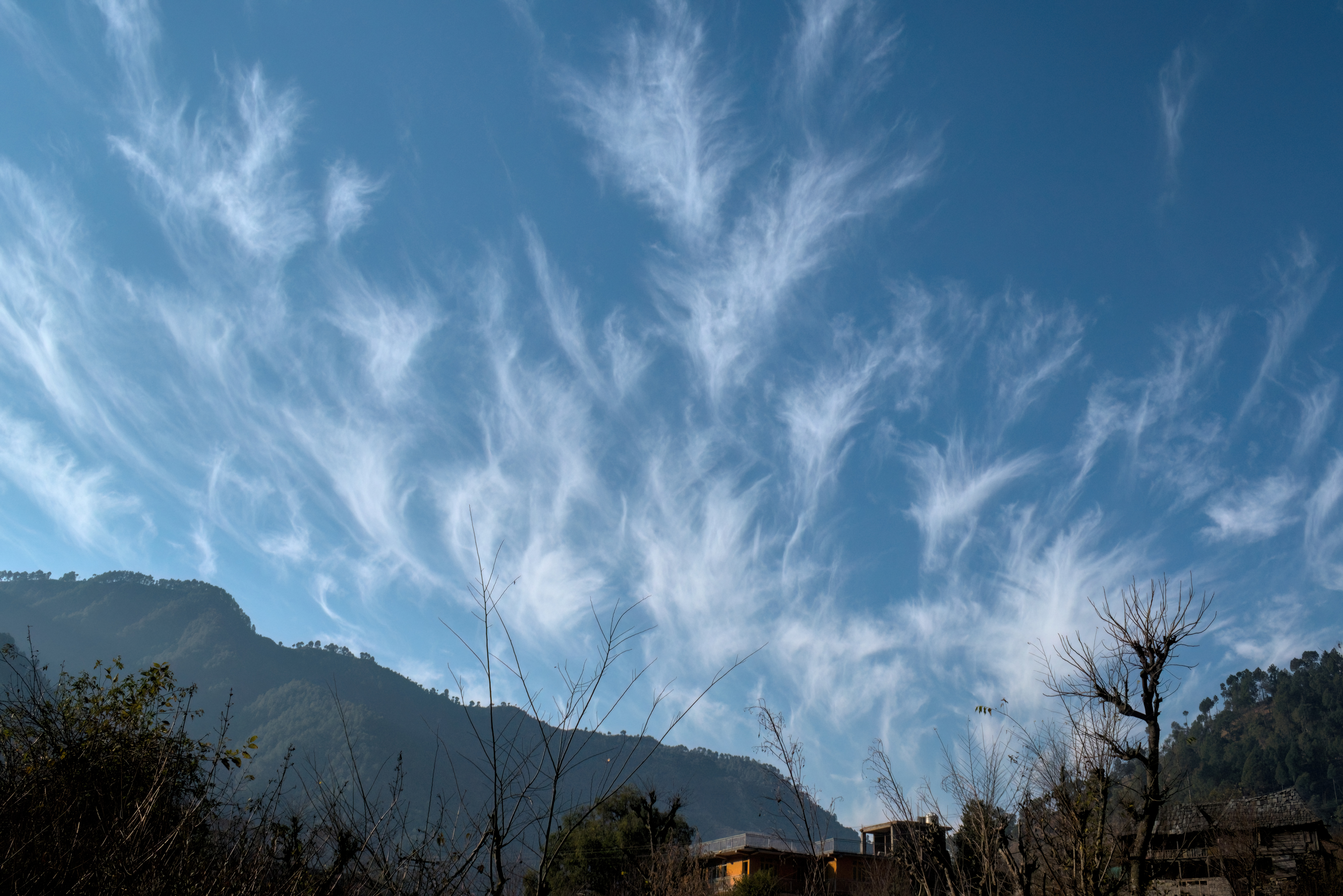 Cirrus uncinus clouds in the morning sky