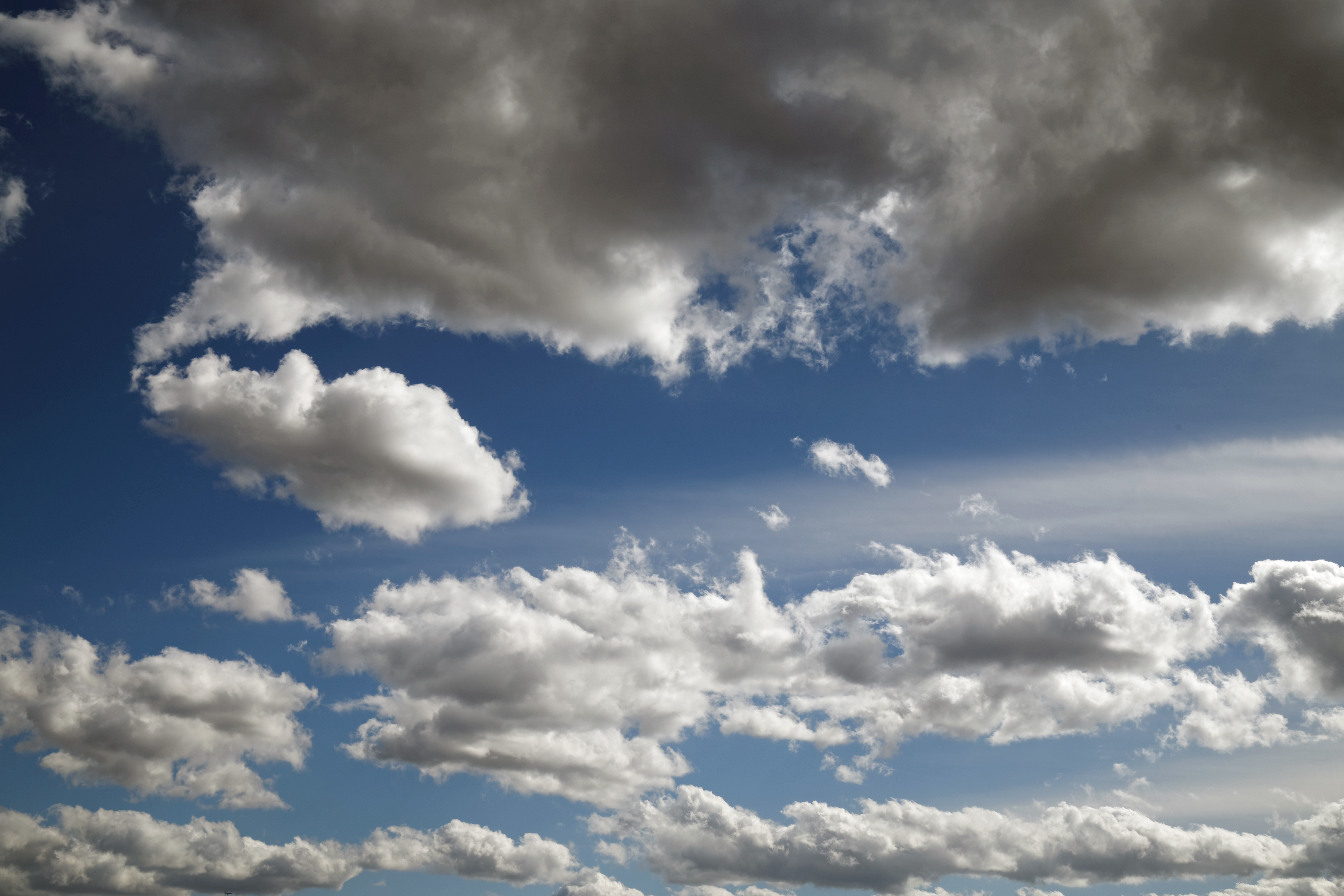 Low stratocumulus clouds over a London park