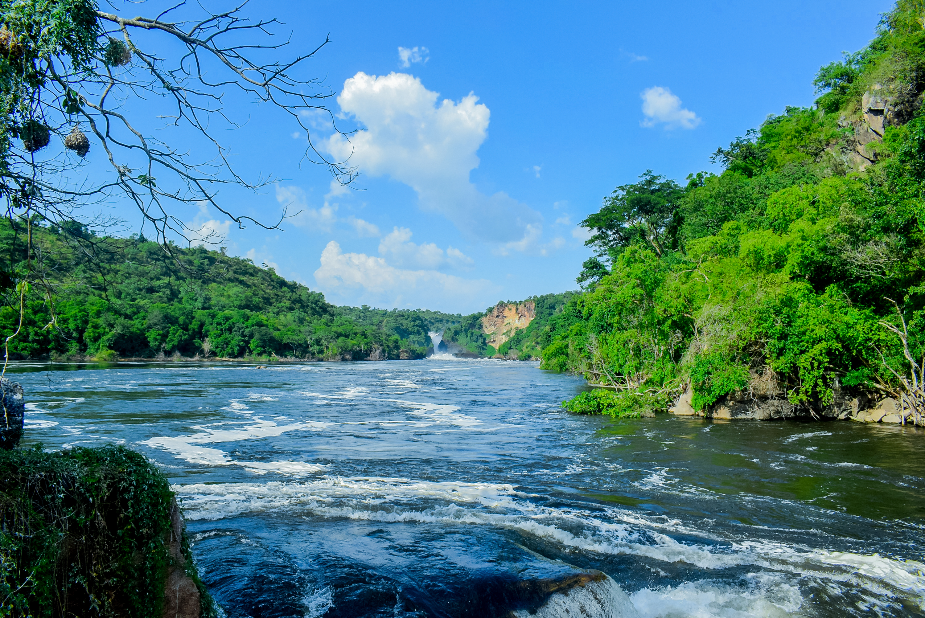 The Nile River at Murchison Falls, Uganda