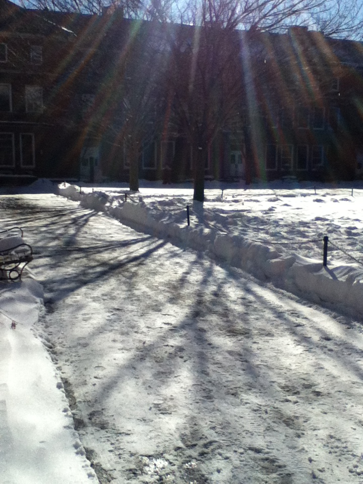A snow-covered quad. Photo by Michelle DePinho.