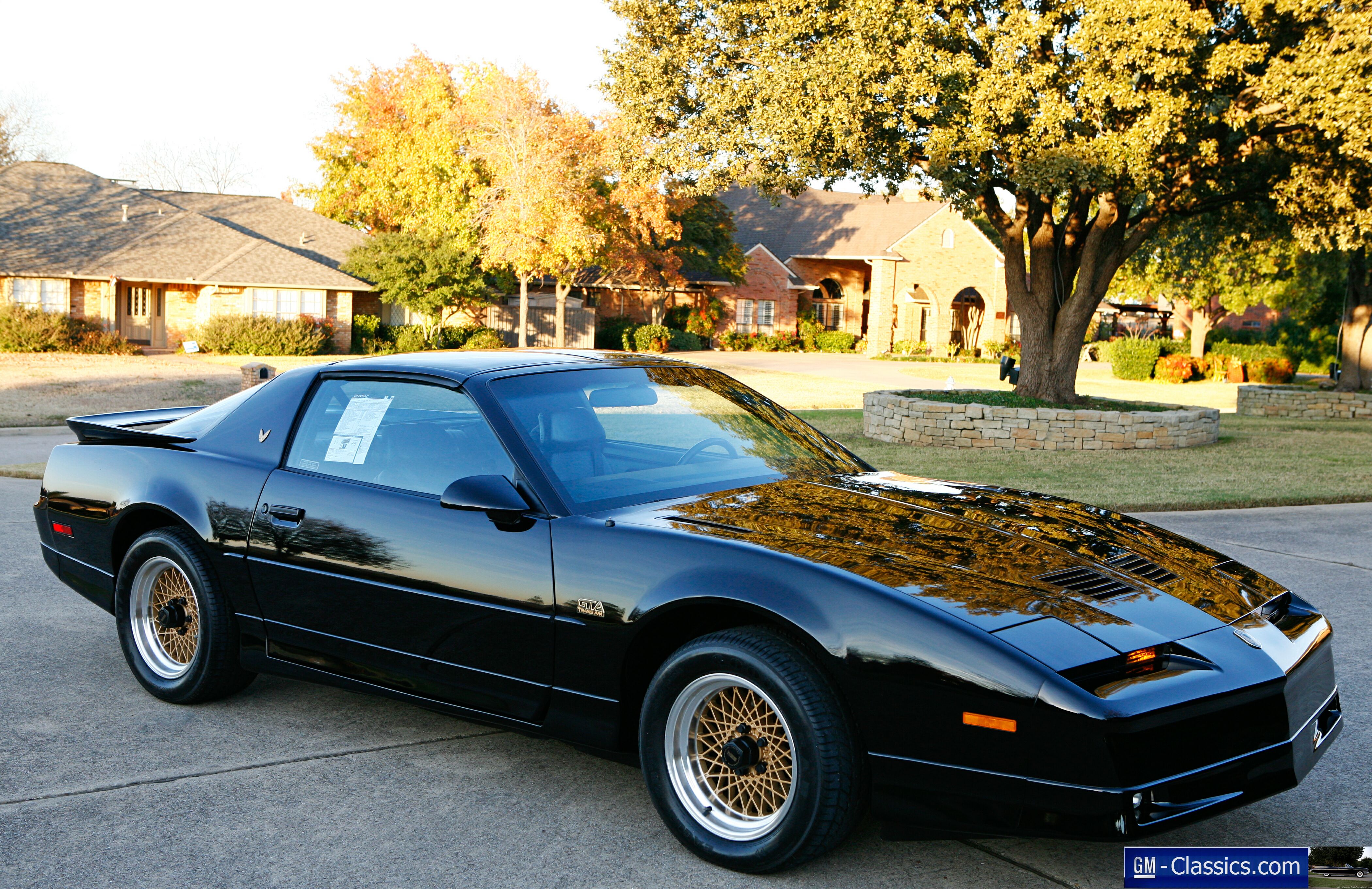 1989 Pontiac Trans Am GTA Matt Garrett 89GTA 54.JPG