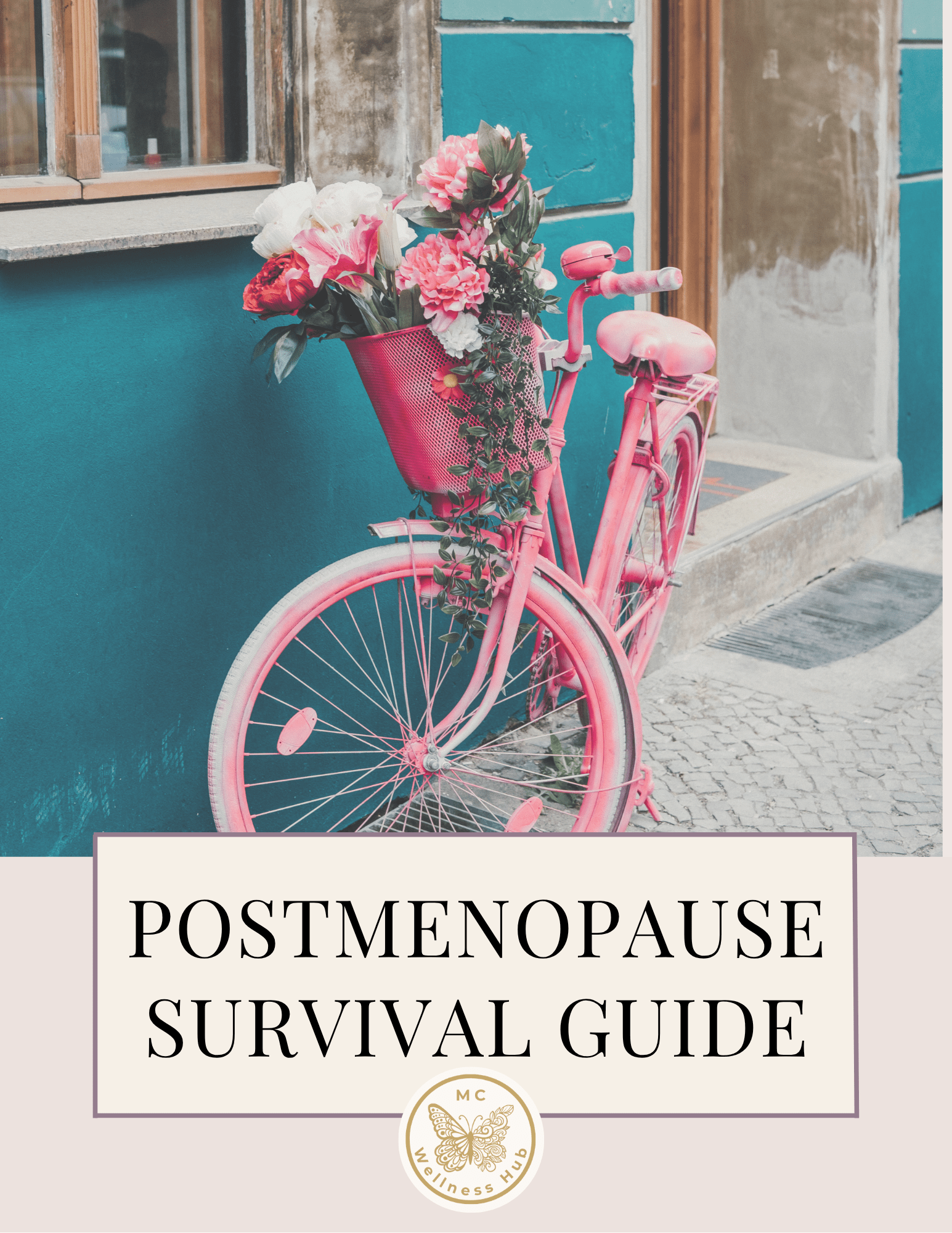 Cover Postmenopause Survival Guide