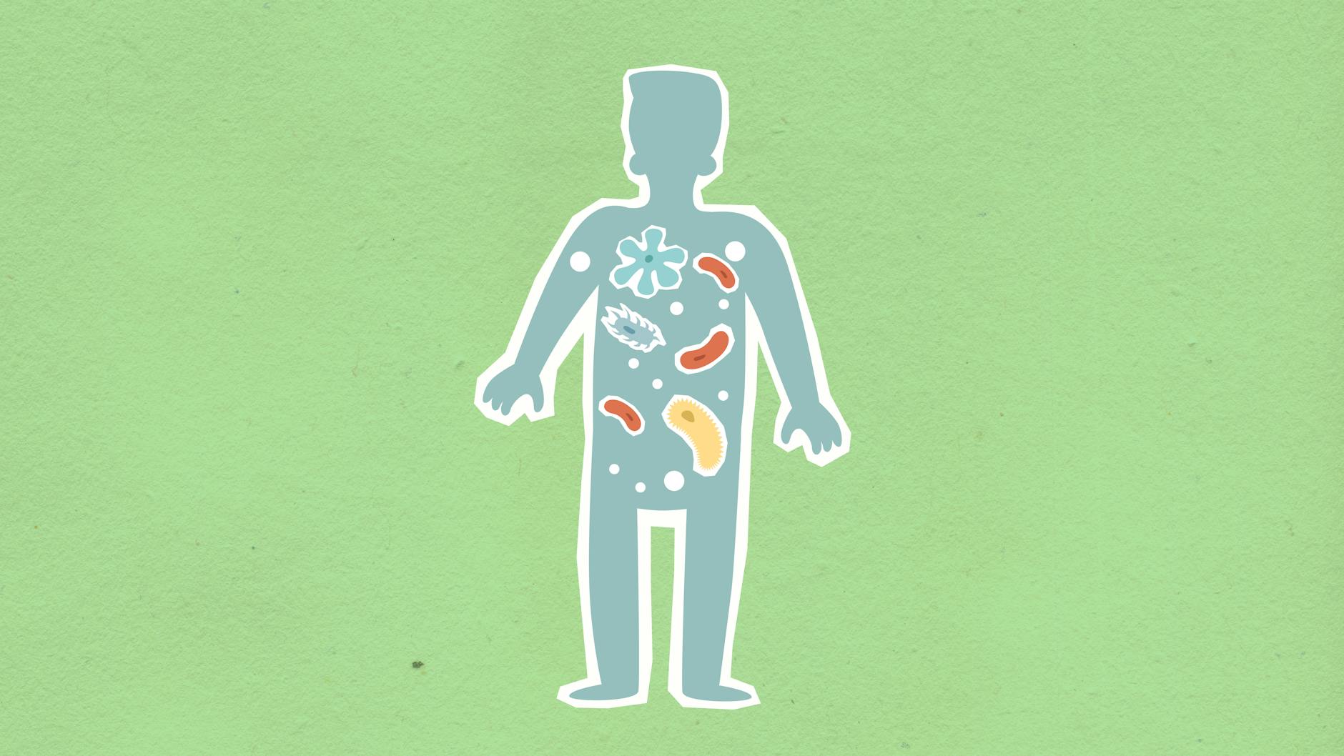 The Hidden World Within: Your Microbiome