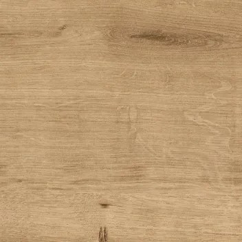 ar 16 9 4.webp