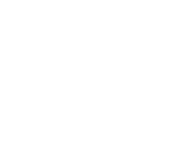 MDFisio