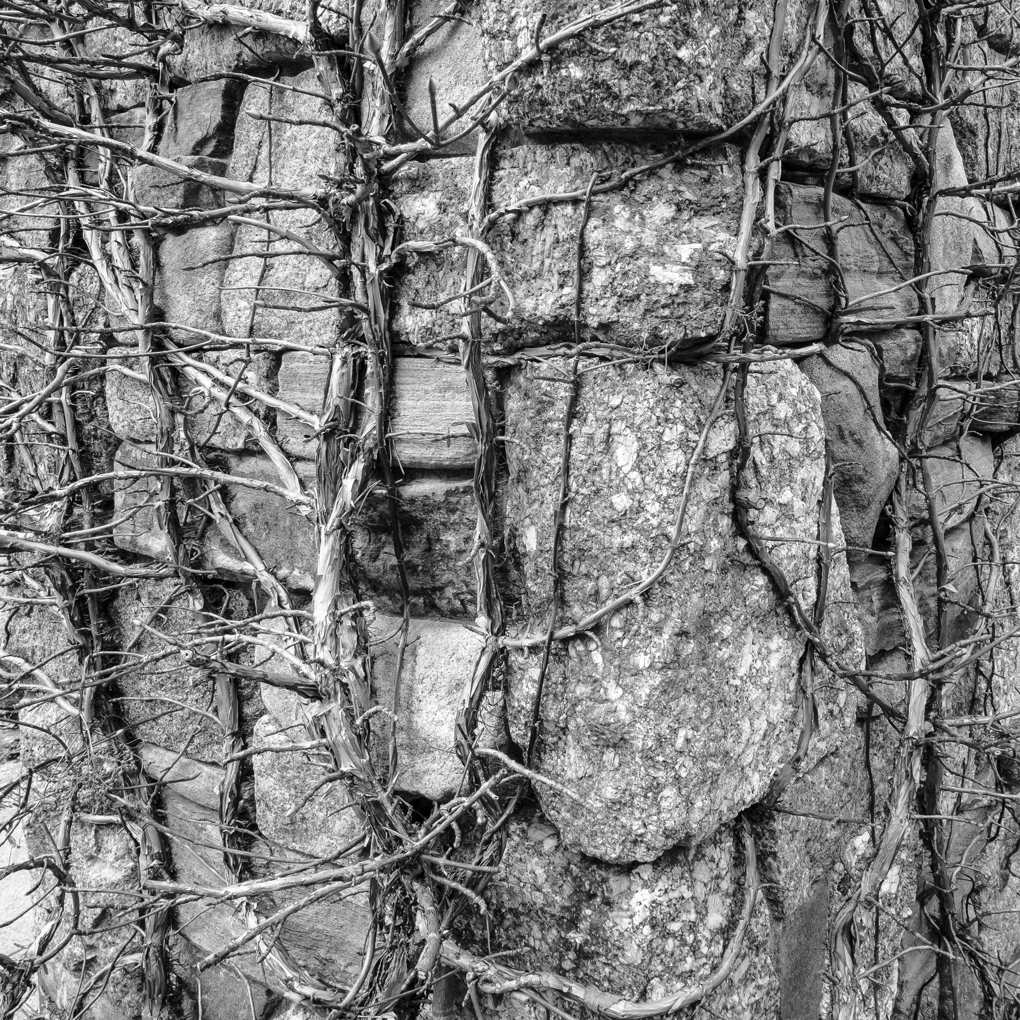 George Soules Assignment 2