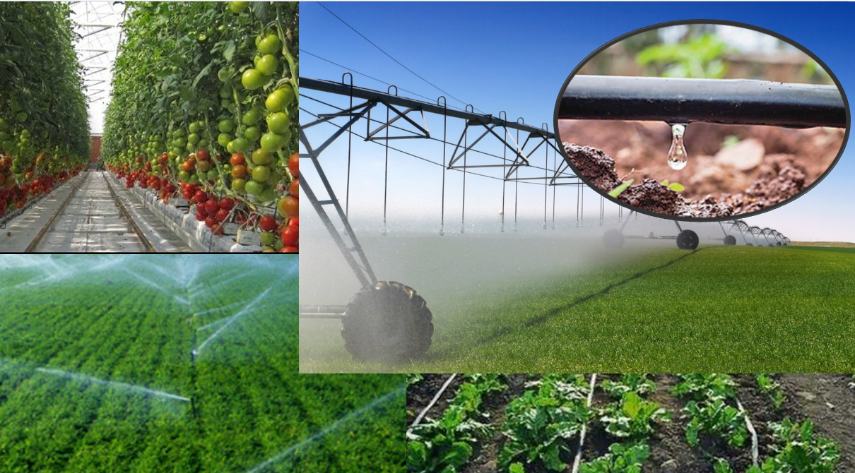 כל הקורסים | Home