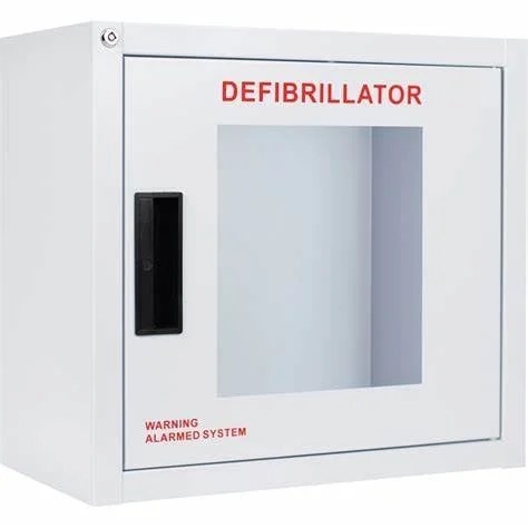 Compact AED Cabinet with Alarm Product