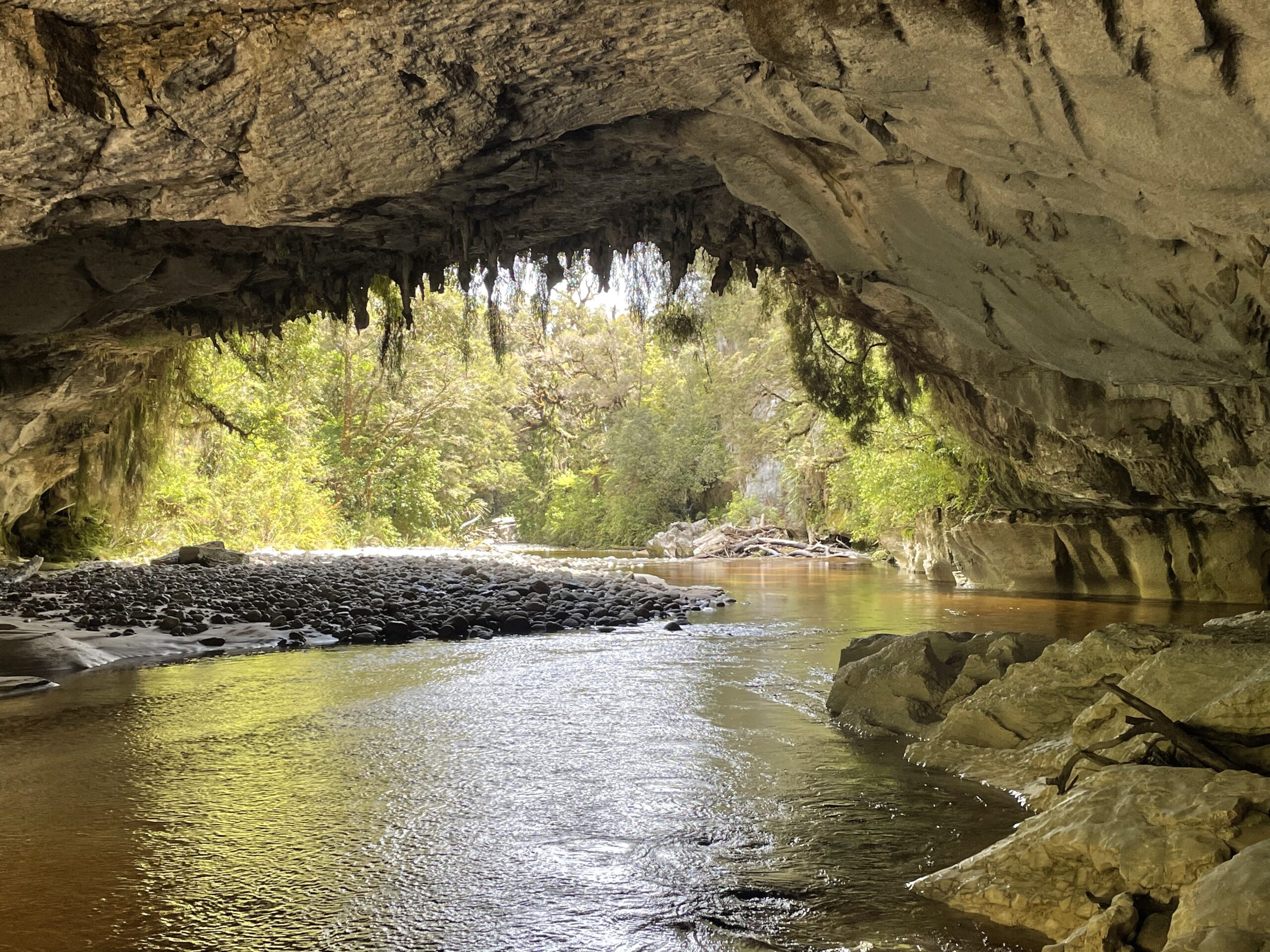 A cave opening from the inside with a river running through it and New Zealand bush on the outside