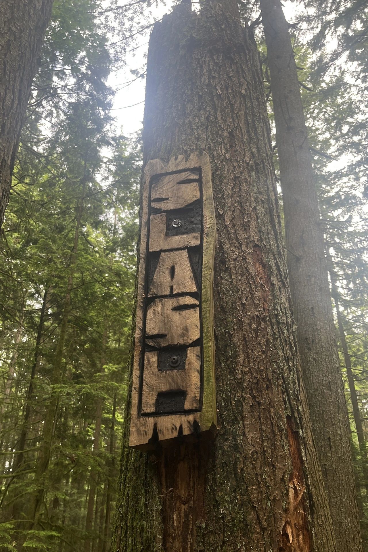 Random bonus trail sign photo. We were out hiking, and The Clairebarian loved this sign for Slash. It's a bit of a leap, but it's on her list of trails to try in '25. Random bonus trail sign photo. We were out hiking, and The Clairebarian loved this sign for Slash. It's a bit of a leap, but it's on her list of trails to try in '25.