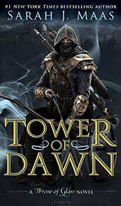 Tower of Dawn Review