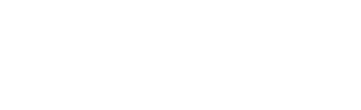 The Medical Transcription Service