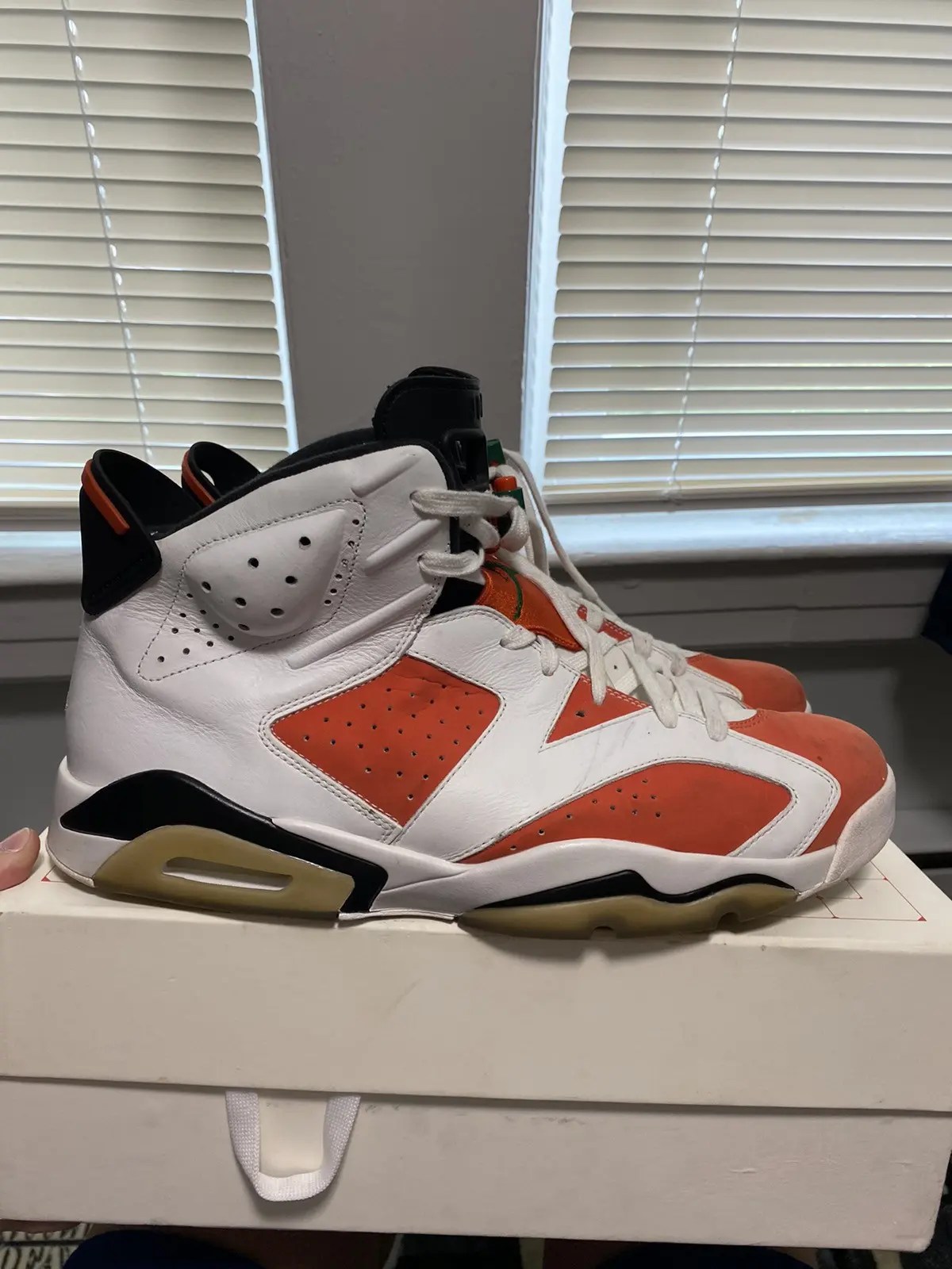 Jordan brand gatorade 6s