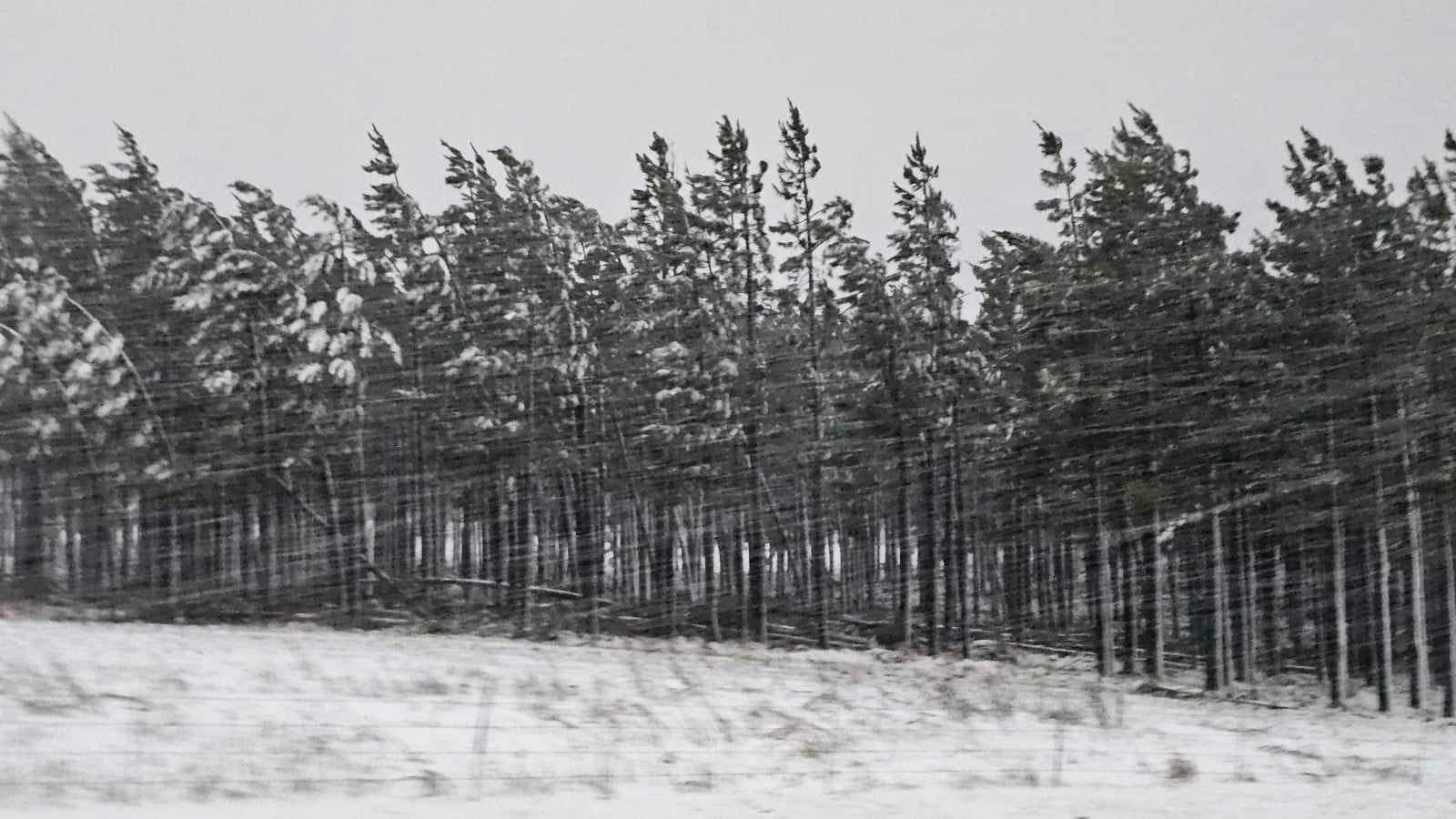 Return of snow to parts of SA brings bitter cold ahead of weekend