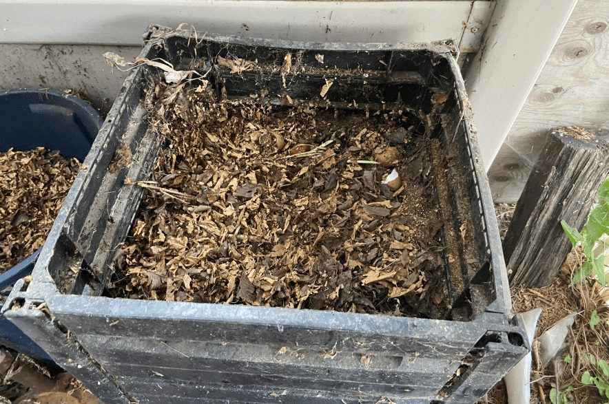 Regina's Compost Giveaway: A Green Initiative for Your Garden (2026)
