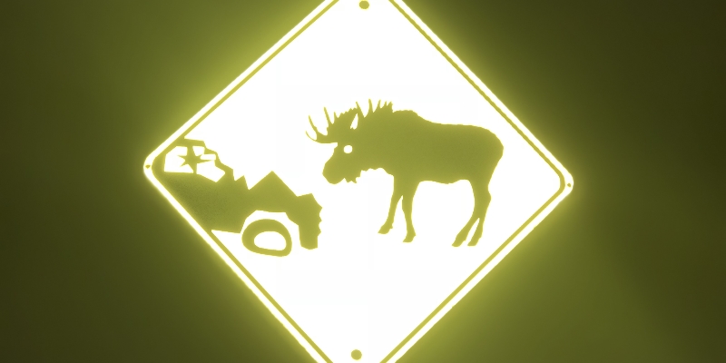 Moose Safety Crisis: Government Fails to Act, Advocate Warns After 25 Years! (2026)