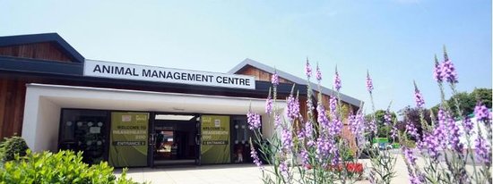 Reaseheath Mini Zoo Nantwich 2022 What To Know Before You Go - Premium Abstract Texture Gallery - 8K