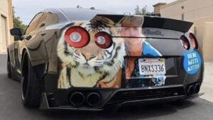 Last Call: Tiger King meets Godzilla