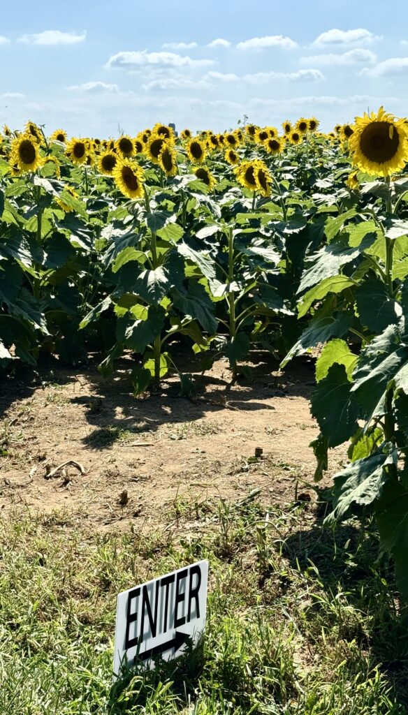 Lebanon Valley, Lebanon Valley, PA: A Hidden Gem in Pennsylvania Farm Country