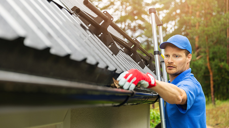 Maker Gutter Cleaning Cary Nc Thieves