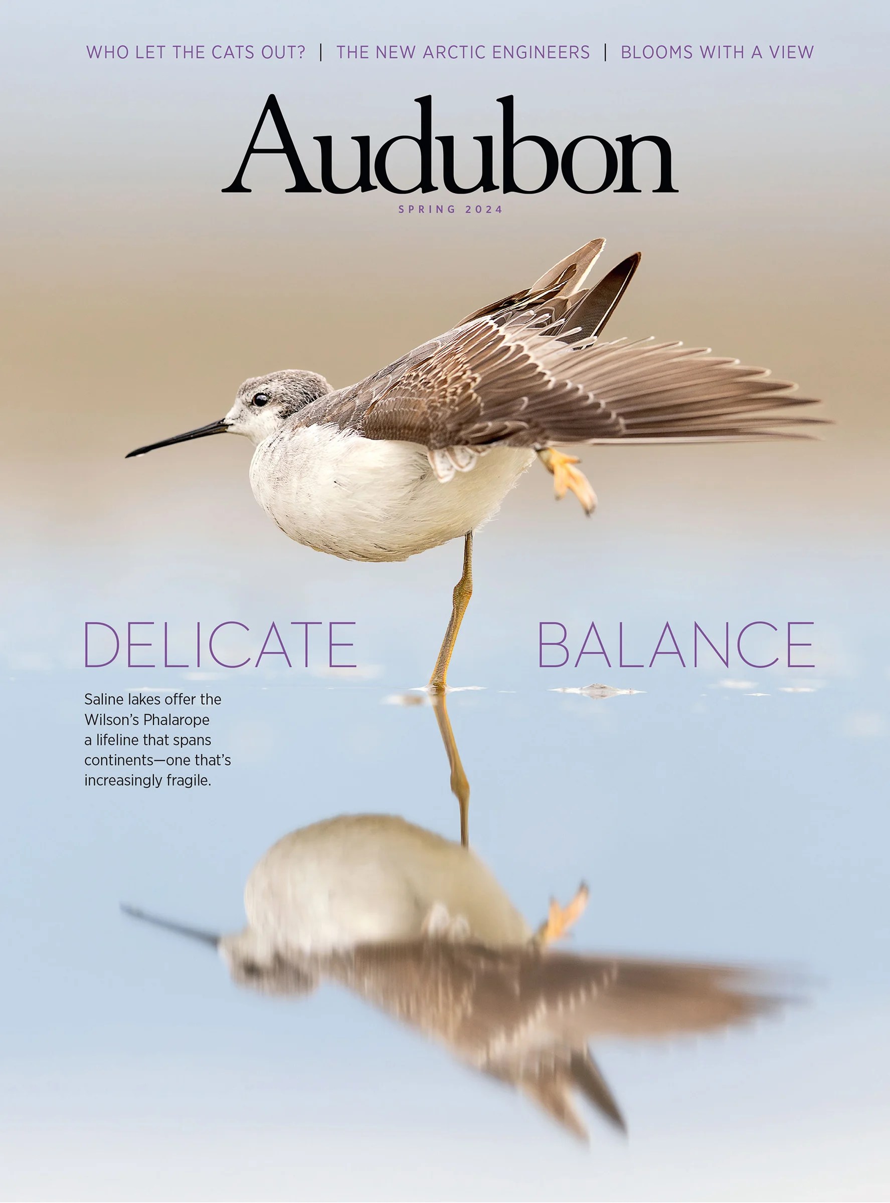 Our Work Audubon - Premium Mountain Image Gallery - HD